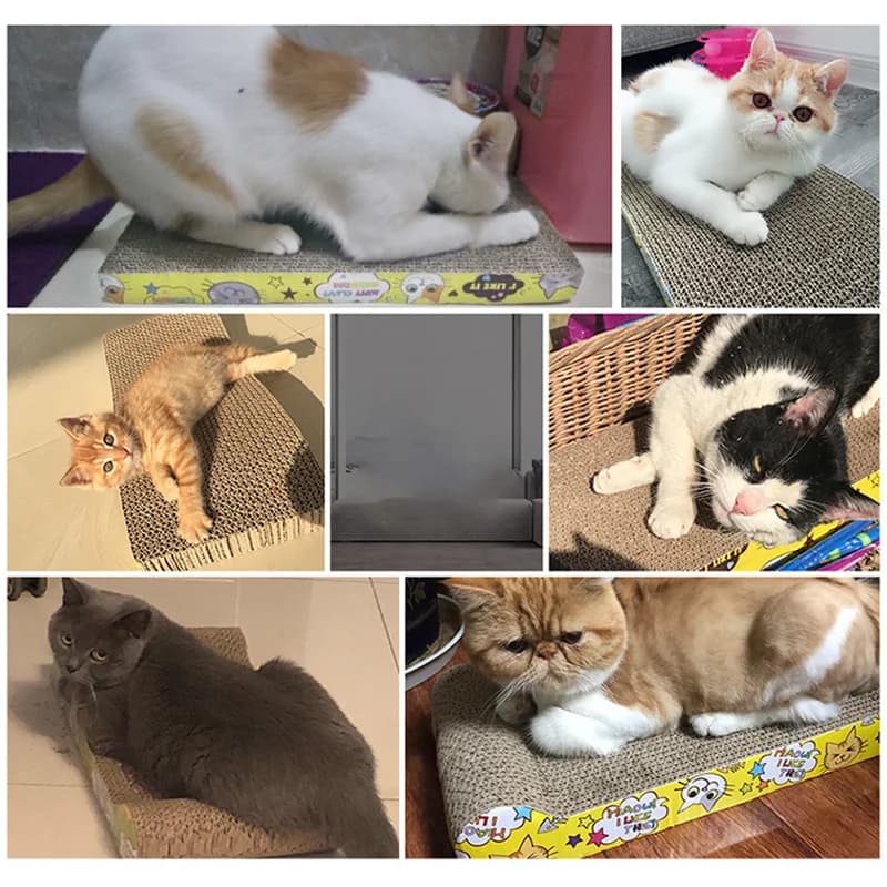 Cat Toys cat scraper sharpening claw cardboard corrugated board scratch-resistant cat scratch board Cat toy sofa cushion bed - image 6