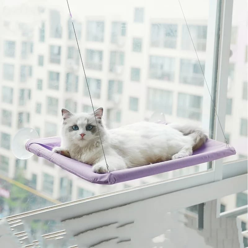 New pet cat hammock hanging cat bed bearing 20 kg comfortable sunny window seat kitten rock climbing frame pet supplies - image 13