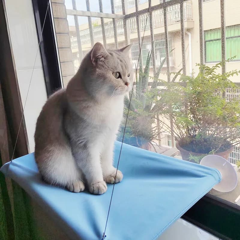 New pet cat hammock hanging cat bed bearing 20 kg comfortable sunny window seat kitten rock climbing frame pet supplies - image 4