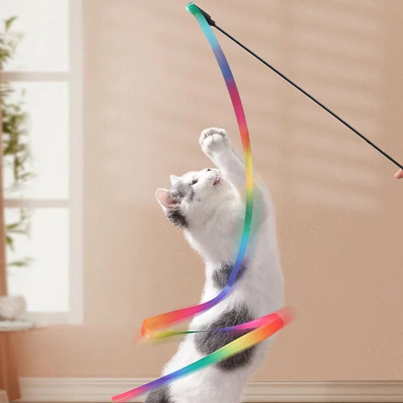 Interactive Coloured Ribbon Cat Toys Teasing Catd Stick Satin Ribbon Cat Stick Toys Kitten Playing Teaser Wand Toy Pet Supplies - image 4