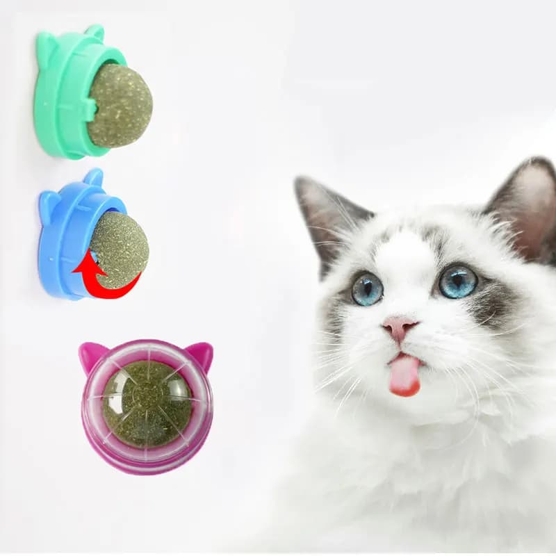 Cats Catnip Cat Toy Natural Ball Removal Cat Grass Treats to Improve Digestion Wall Sticker Scratch Itchy Treat Healthy Supplie - image 1