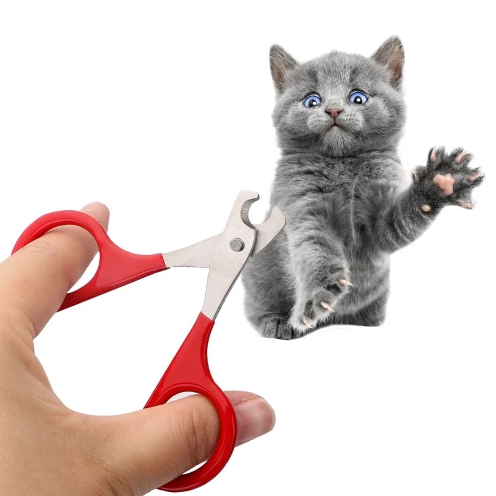 Cat Nail Scissors Pet Dog Nail Clippers Toe Claw Trimmer Professional Pet Grooming Products For Small Puppy Dogs Cat Accessories - image 2