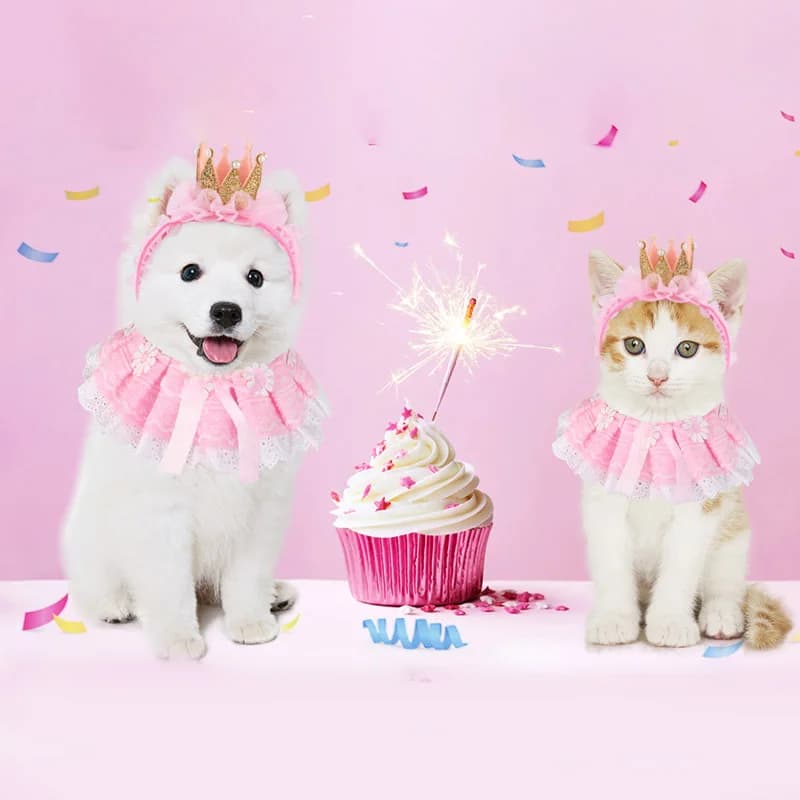 Pet Birthday Costume Set, Adorable Lace Flower Crown Headpiece Collar Accessories, Suitable for Cats and Tiny Dogs - image 4