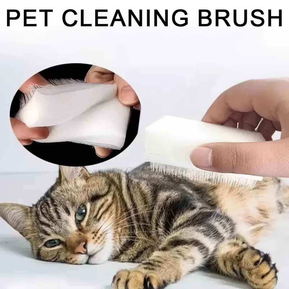 Soft Bristle Cat Tongue Sensory Brush-Analogous To A Mother Cat's Tongue,Comforting Pet Grooming Tool,Ideal for Styling Cats - image 1