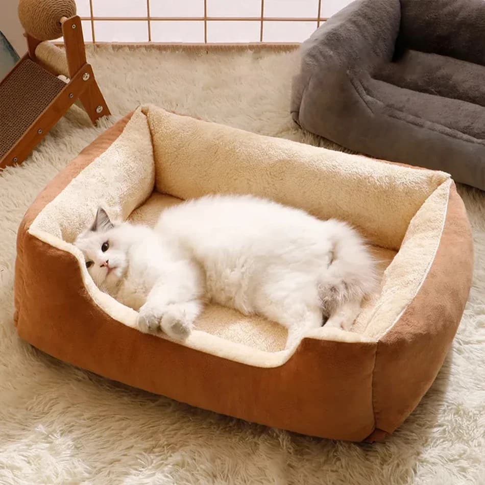 Bed for Cats Pet Products Cushions Kitten Goods Accessories Dog All Houses Supplies Things Accessory Habitats Basket House Beds - image 4