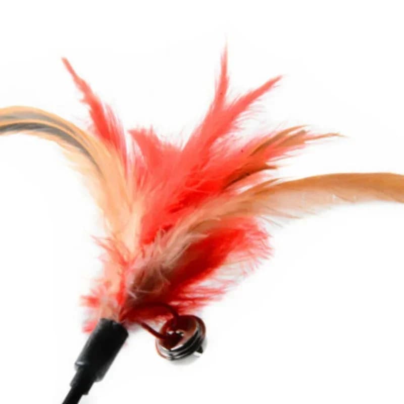 2 Pcs Cat Toy Bell Feather Funny Cat Rod Toy Cat Toys Interactive Cat Accessories Pet Cat Supplies - image 5