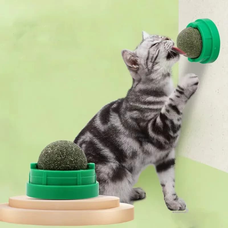 Catnip Cat Wall Stick-on Ball Toy Scratchers Treats Healthy Natural Removes Balls to Promote Digestion Cat Grass Snack - image 1