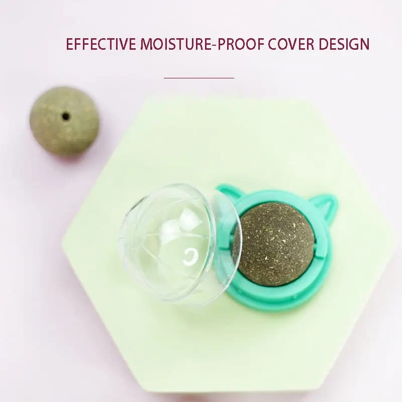 Cats Catnip Cat Toy Natural Ball Removal Cat Grass Treats to Improve Digestion Wall Sticker Scratch Itchy Treat Healthy Supplie - image 3