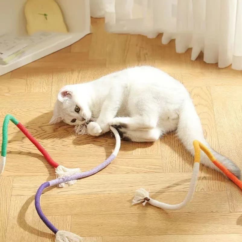 Cat toys cat teasers kitten galls teething and chew-resistant feathers cat self-entertainment and boredom relief cat supplie - image 2
