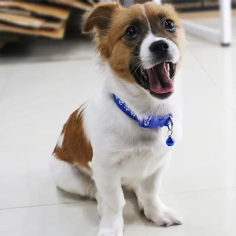 Pet Collar With Bell Cartoon Footprint Colorful Dog Puppy Cat Accessories Kitten Collar Adjustable Safety Bell Ring Necklace Pet - image 5