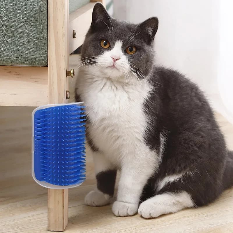 Cat Corner Brush Comb Massager for Cat Arch Plastic Scratcher Remove Hair Comb Grooming with Catnip Cat Self Cleaning Cat Supply - image 1