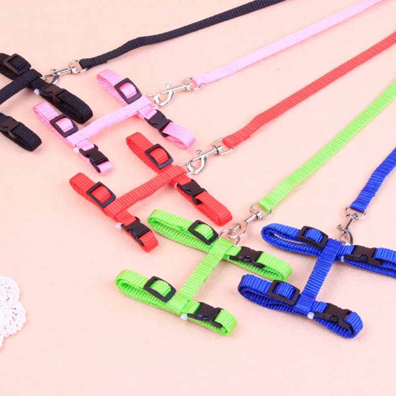Hot-selling cat chest strap simple design traction rope high-quality nylon material sturdy and durable pet supplies - image 1
