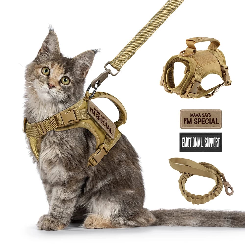 Tactical Cat Harness Leash with 2 Patches Small Dog Puppy Vest Straps with Handle Working Training Adjustable Pet Accessories - image 1