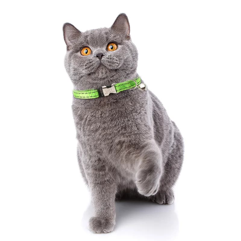 Free engraving content for cat collars with bells, night reflective nylon totoro ropes to prevent lost pet cat collars - image 6
