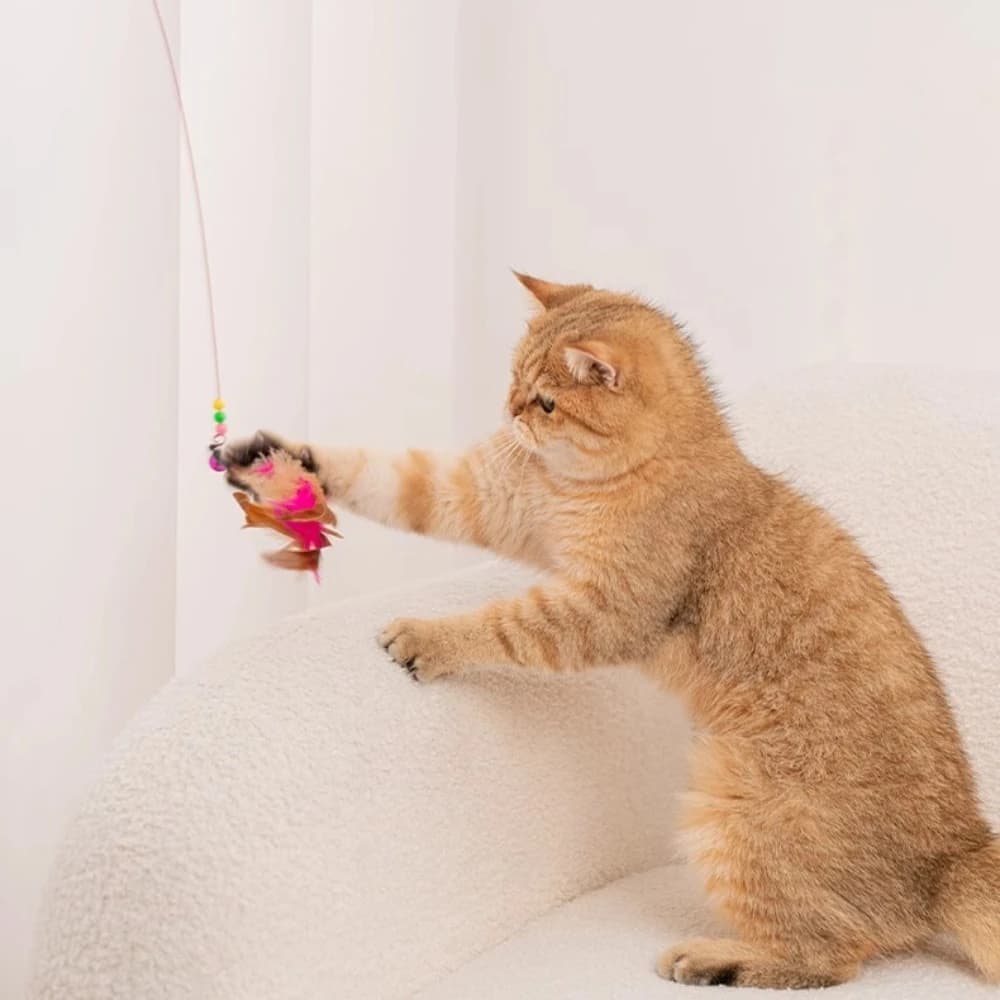 Interactive Cat Wand Toy with Feather-Style Tassel & Bell on Flexible Elastic Rod - image 1