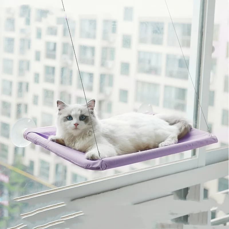 New pet cat hammock hanging cat bed bearing 20 kg comfortable sunny window seat kitten rock climbing frame pet supplies - image 5