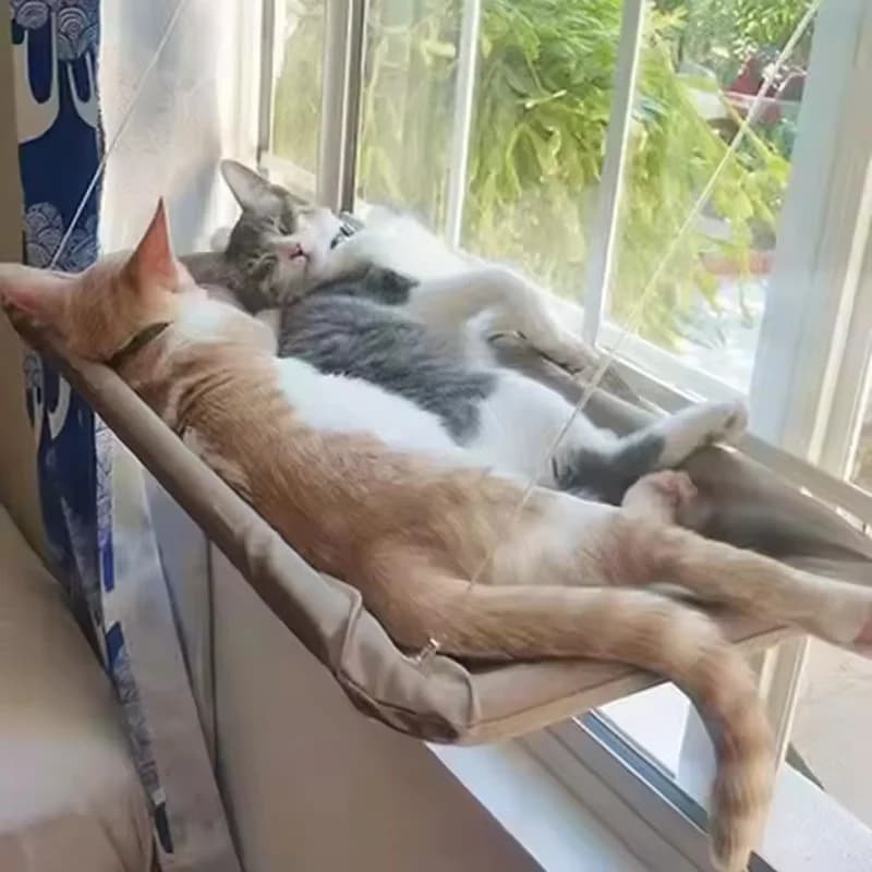 Ultra Soft Cat Window Hammock Bed Securely Mounted Space Saving Cat Perch Ideal for Feline Naptime Top Pet Accessories for Cats - image 1
