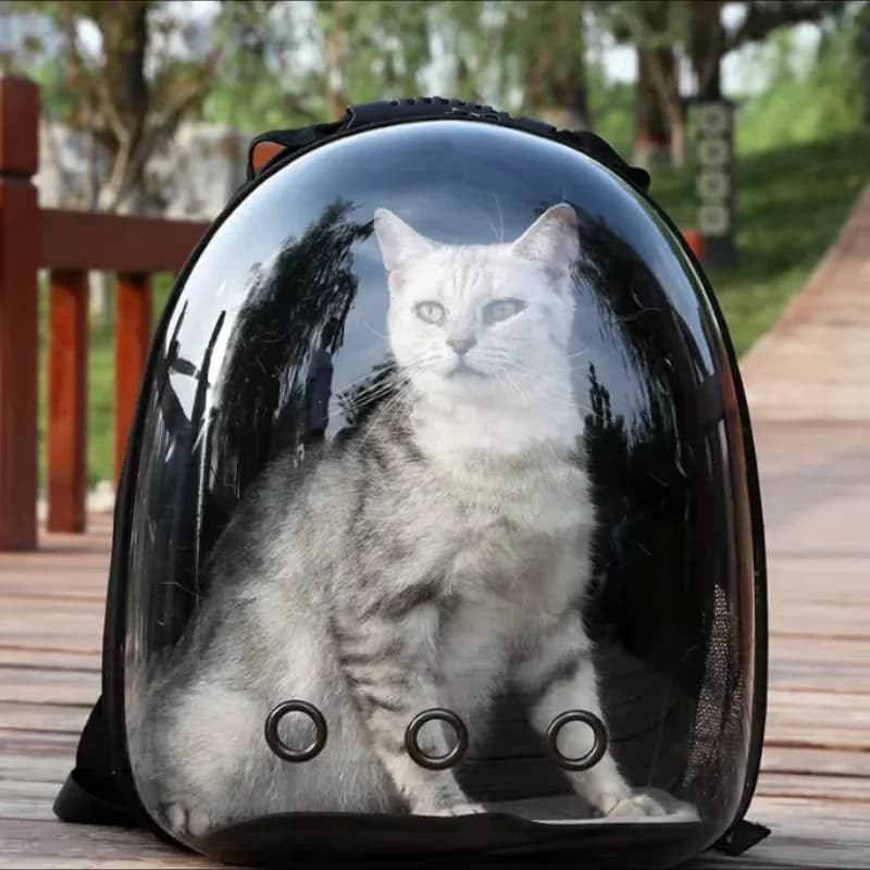 Portable Space Capsule Breathable Cat Bag, Pet Travel Supplies, carrying Pets Travel Essential - image 1