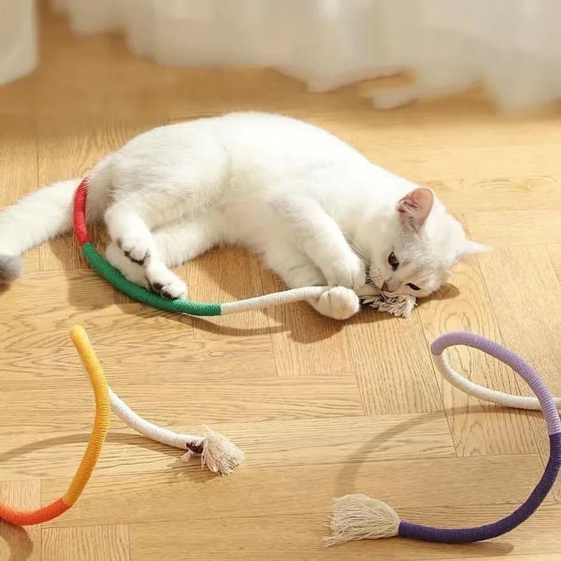 Cat toys cat teasers kitten galls teething and chew-resistant feathers cat self-entertainment and boredom relief cat supplie - image 1