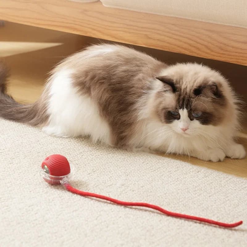 1~3pcs Cat Interactive Ball Toy Automatic Rolling Ball Tail Rechargeable Smart Pet Electric Toy Dog Cat Training Imitate Mouse - image 2