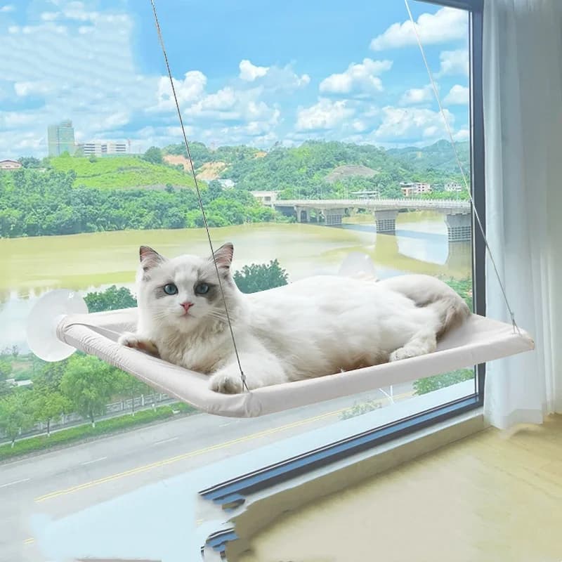New pet cat hammock hanging cat bed bearing 20 kg comfortable sunny window seat kitten rock climbing frame pet supplies - image 12