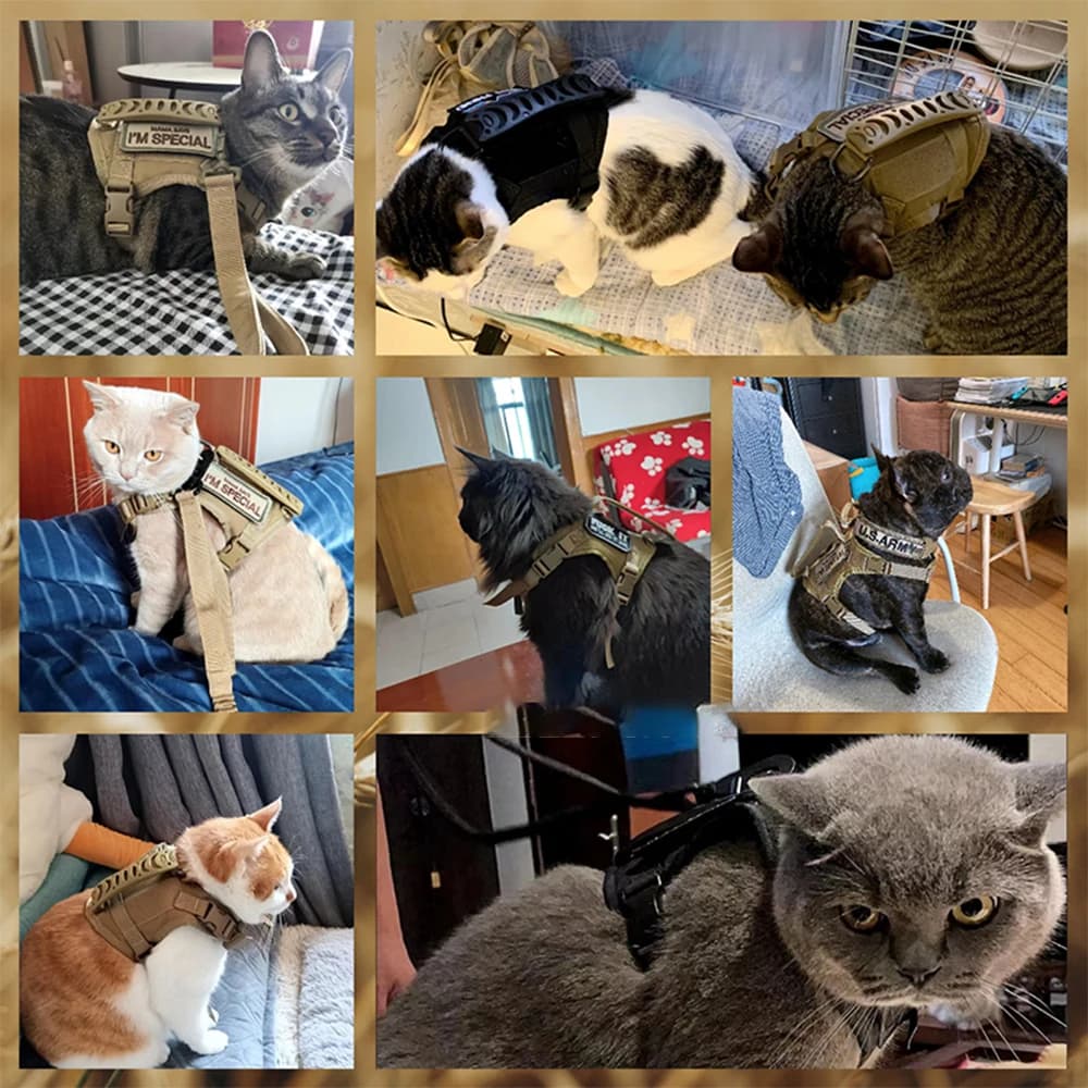 Tactical Cat Harness Leash with 2 Patches Small Dog Puppy Vest Straps with Handle Working Training Adjustable Pet Accessories - image 6