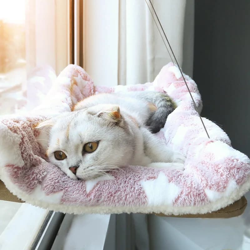 New pet cat hammock hanging cat bed bearing 20 kg comfortable sunny window seat kitten rock climbing frame pet supplies - image 2