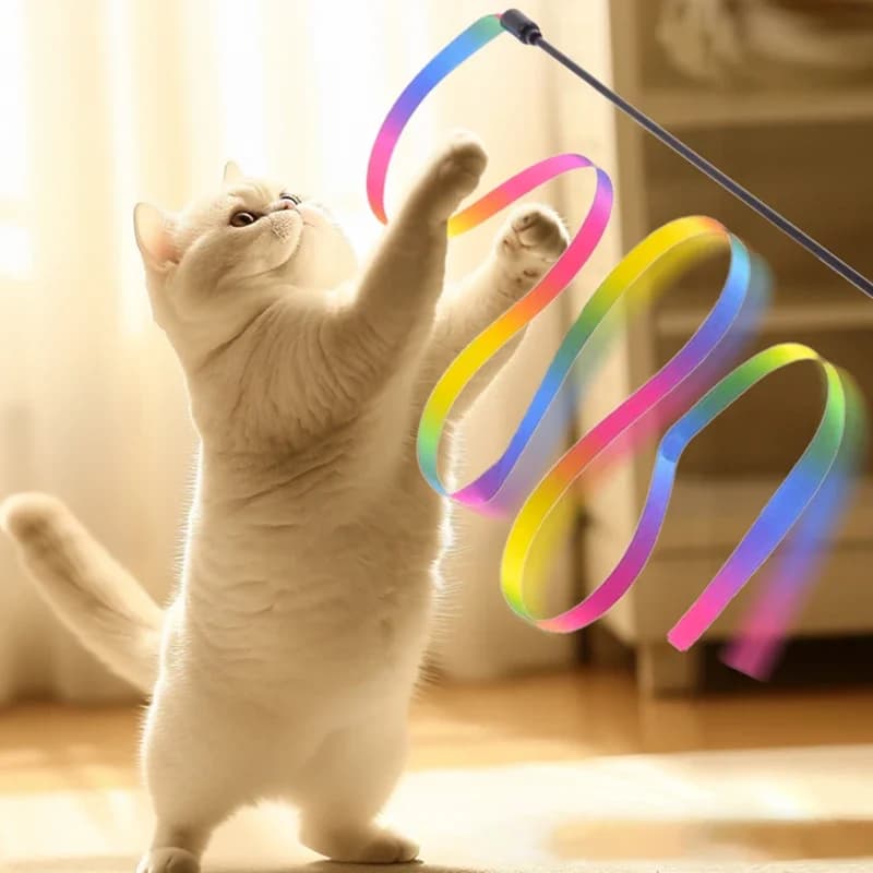 Interactive Coloured Ribbon Cat Toys Teasing Catd Stick Satin Ribbon Cat Stick Toys Kitten Playing Teaser Wand Toy Pet Supplies - image 2