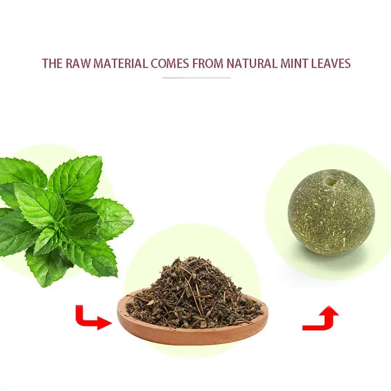 Cats Catnip Cat Toy Natural Ball Removal Cat Grass Treats to Improve Digestion Wall Sticker Scratch Itchy Treat Healthy Supplie - image 2