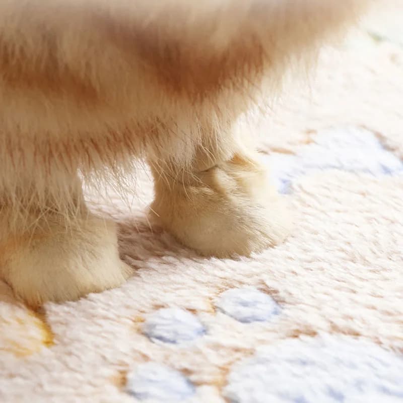 Winter Velvet Pet Sleeping Warm Blanket with Paw/Dot/Bone Pattern, Dog Cat Washing Towel, Fleece Soft Pet Blanket Pet Bed Mat - image 2