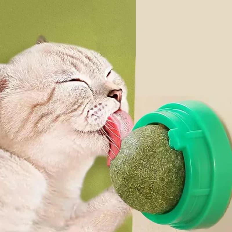 The Catnip Cat Wall Stick-on Ball Toy Scratchers Treats Healthy Natural Removes Balls to Promote Digestion Cat Grass Snack - image 1
