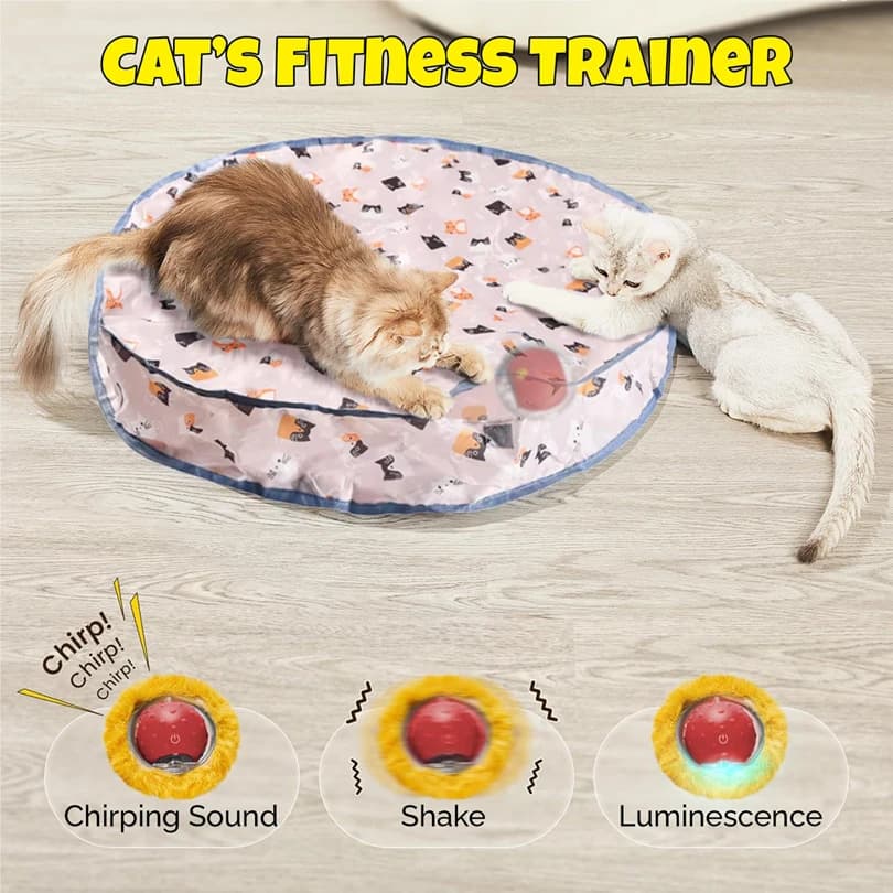 Interactive Cat Toys Ball Fast Rolling in Pouch Hide and Seek Kitten Toy Motion Activated Interactive Cat Toy for Indoor - image 3