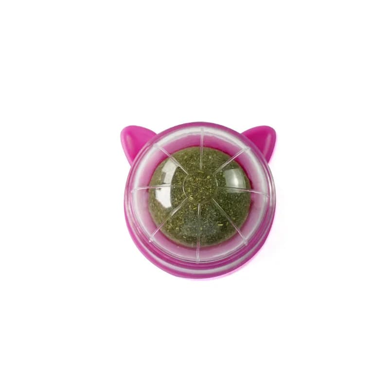 Cats Catnip Cat Toy Natural Ball Removal Cat Grass Treats to Improve Digestion Wall Sticker Scratch Itchy Treat Healthy Supplie - image 7